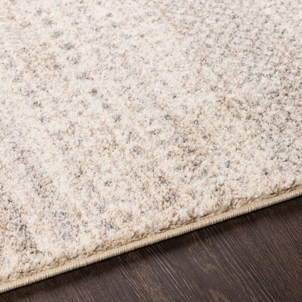 Fowler Light Brown/Light Gray Machine Woven Rug - texture