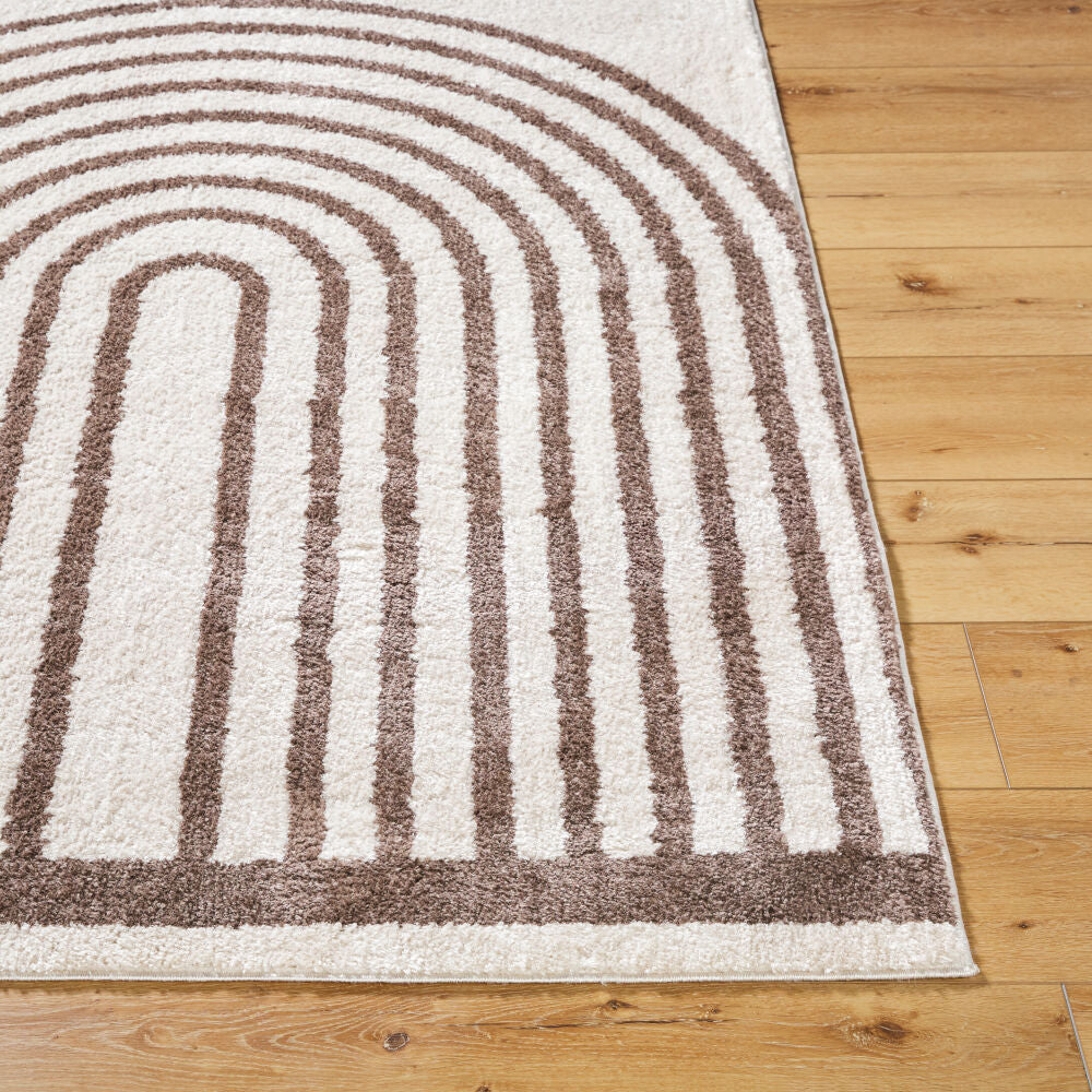 Fossay Shag Dark Brown/Light Beige Machine Woven Rug FSG-2310 - front