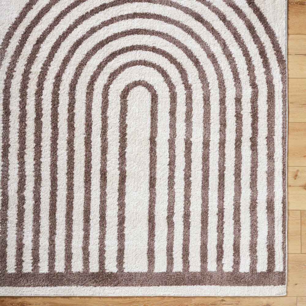 Fossay Shag Dark Brown/Light Beige Machine Woven Rug FSG-2310 - overhead