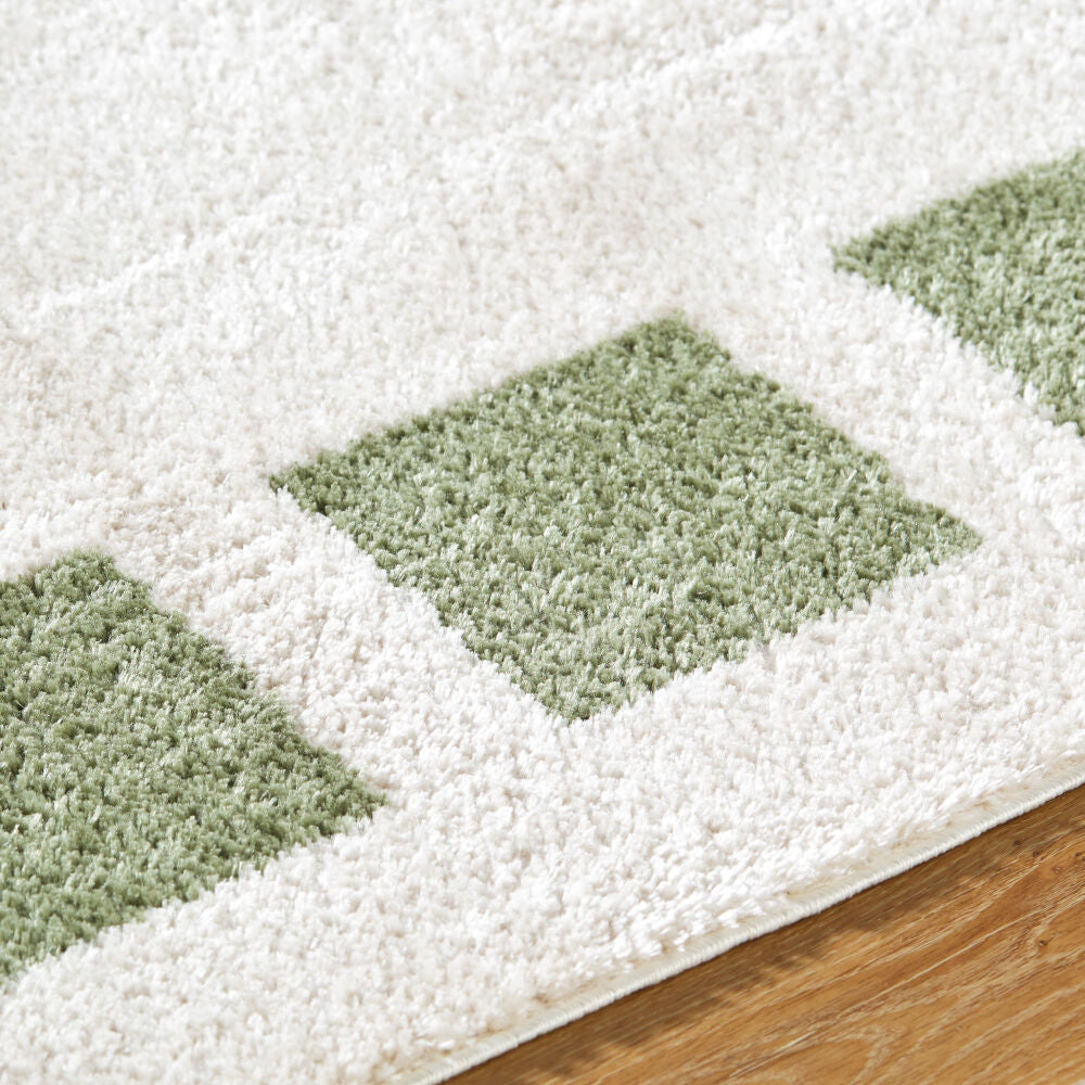 Fossay Shag Grass Green/Light Beige Machine Woven Rug FSG-2315 - texture