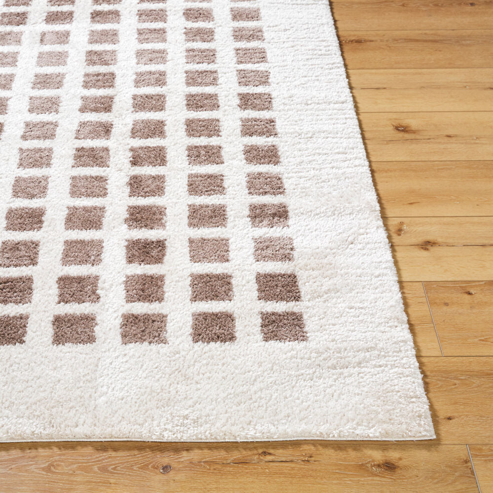 Fossay Shag Dark Brown/Light Beige Machine Woven Rug FSG-2318 - front