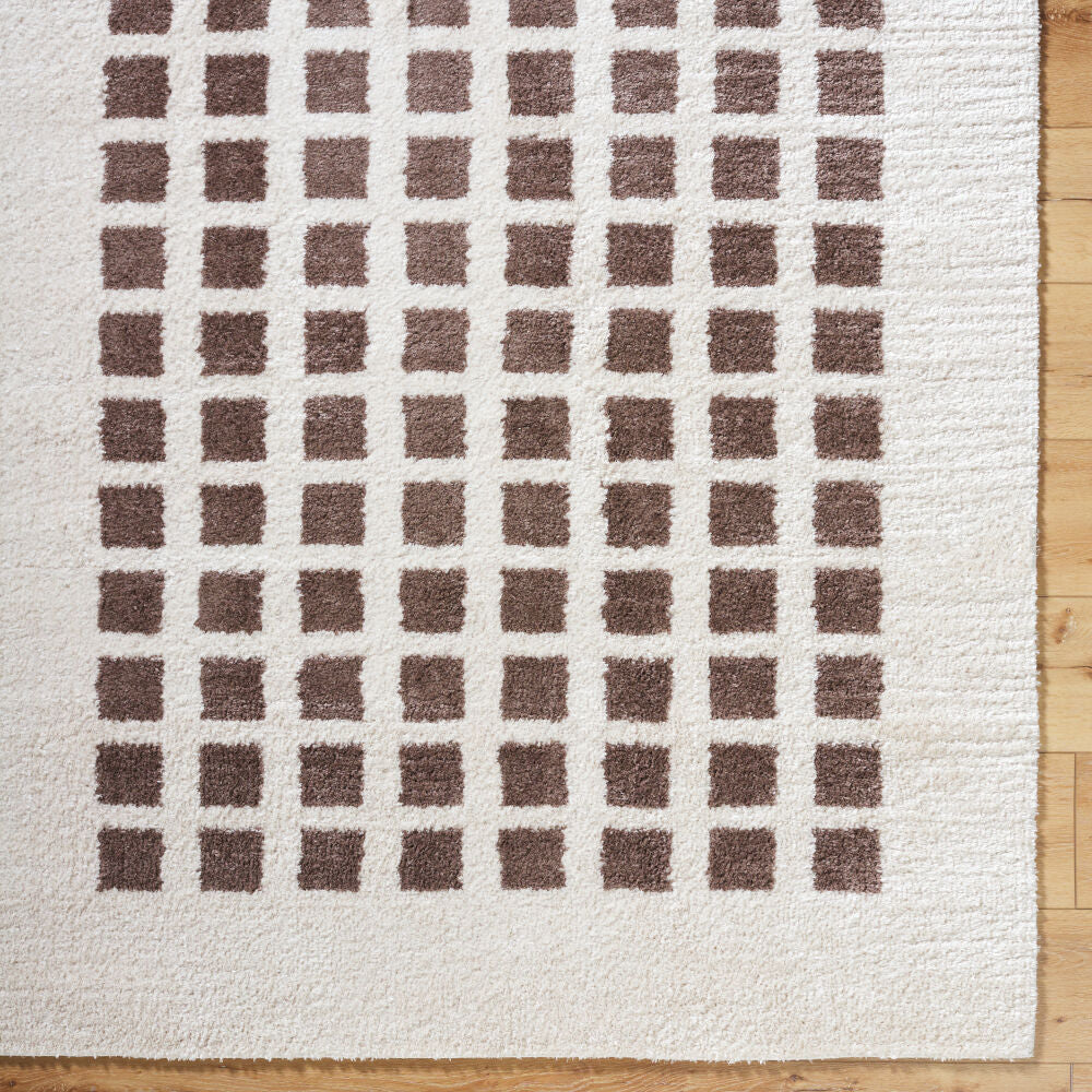 Fossay Shag Dark Brown/Light Beige Machine Woven Rug FSG-2318 - overhead