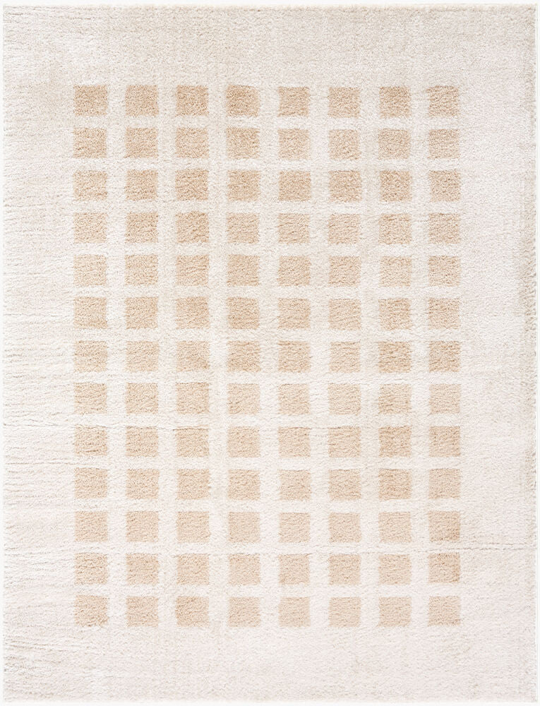 Fossay Shag Beige/Light Beige Machine Woven Rug FSG-2319 - 2' x 2'11"