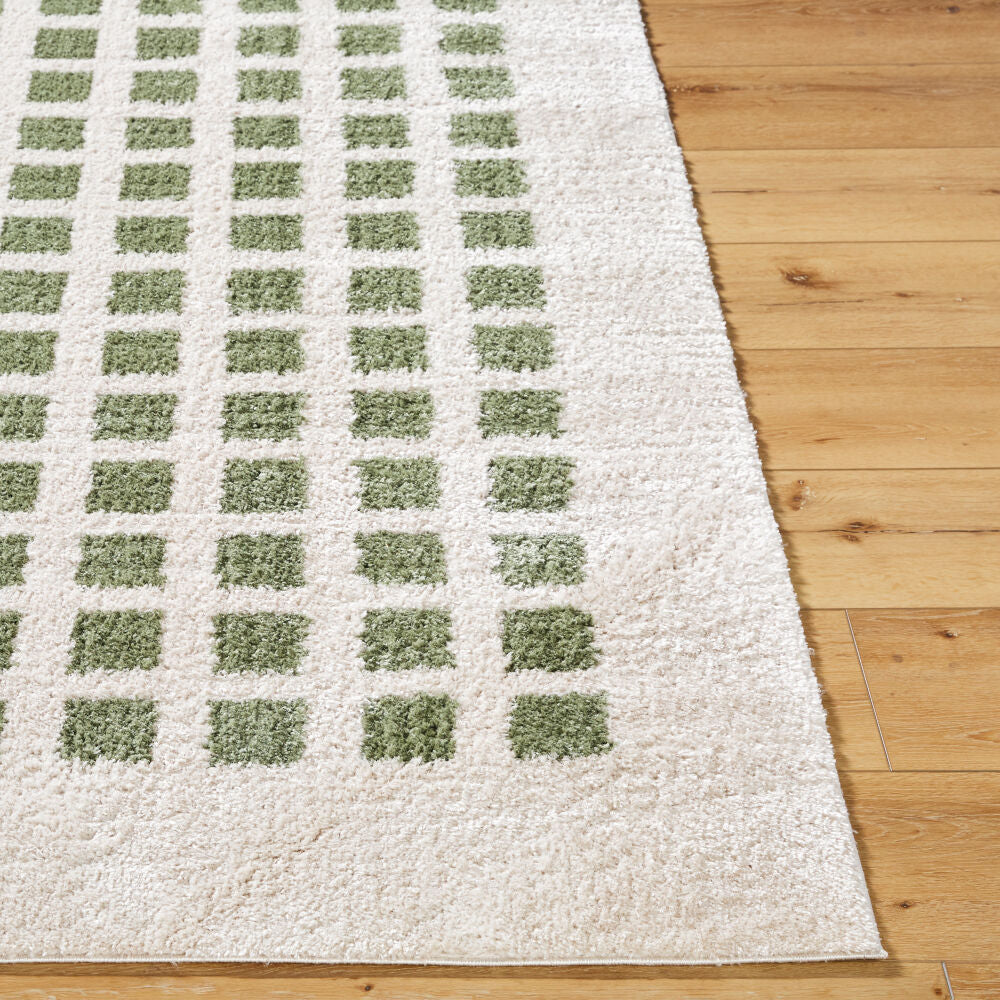 Fossay Shag Grass Green/Light Beige Machine Woven Rug FSG-2320 - front