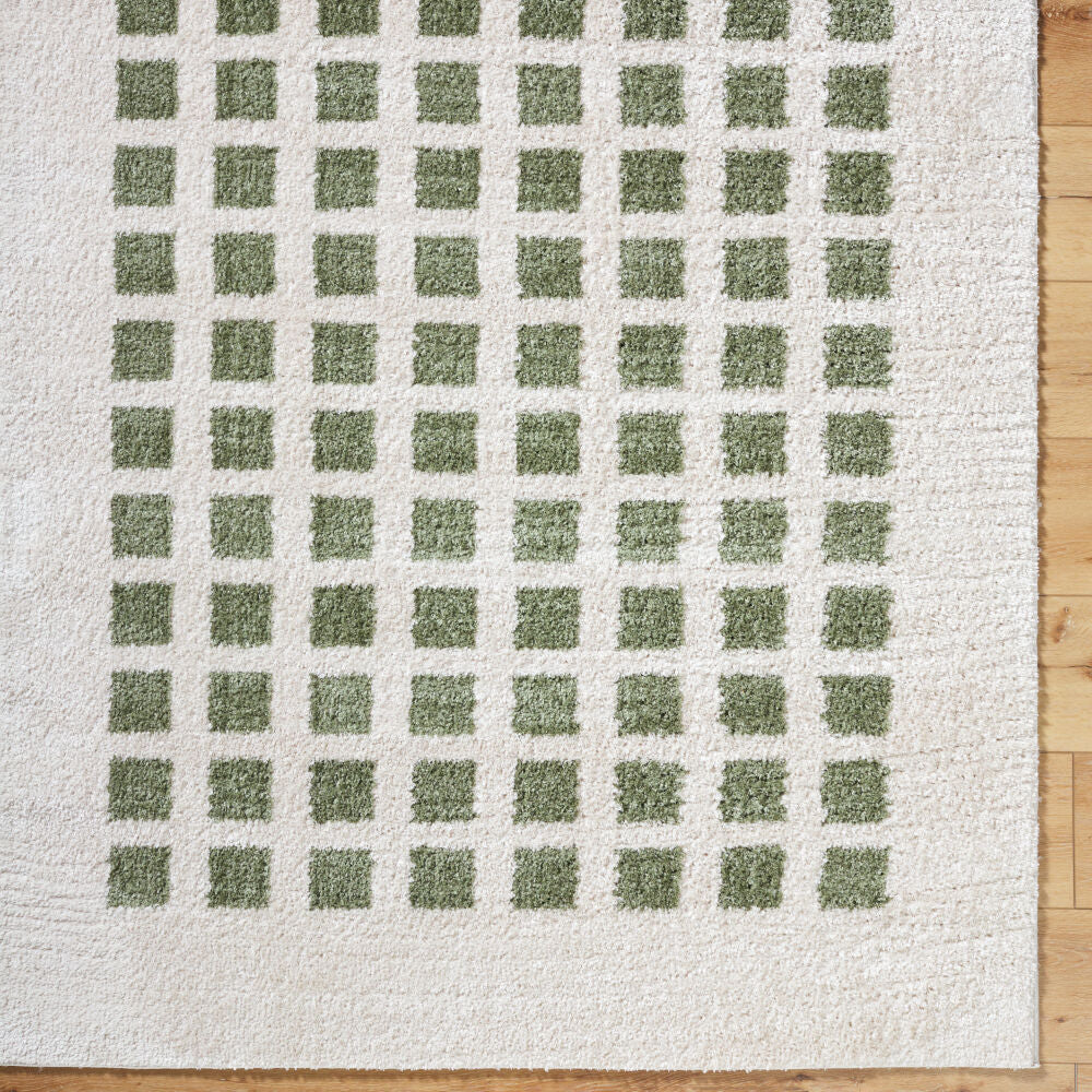 Fossay Shag Grass Green/Light Beige Machine Woven Rug FSG-2320 - overhead