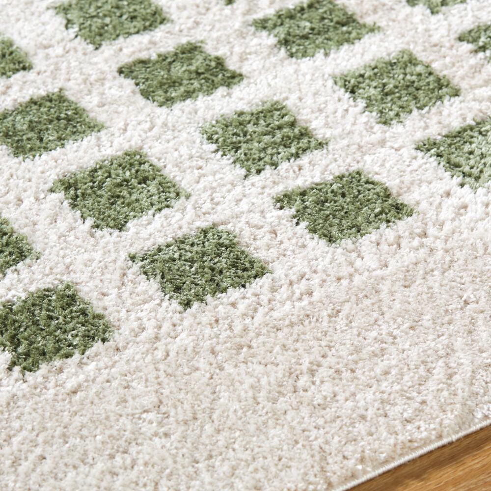 Fossay Shag Grass Green/Light Beige Machine Woven Rug FSG-2320 - texture