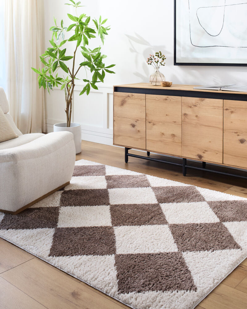 Fossay Shag Dark Brown/Light Beige Machine Woven Rug FSG-2323 - roomscene