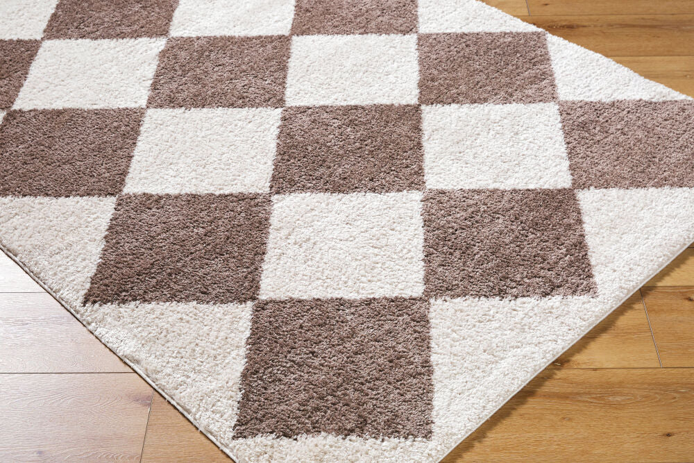 Fossay Shag Dark Brown/Light Beige Machine Woven Rug FSG-2323 - corner