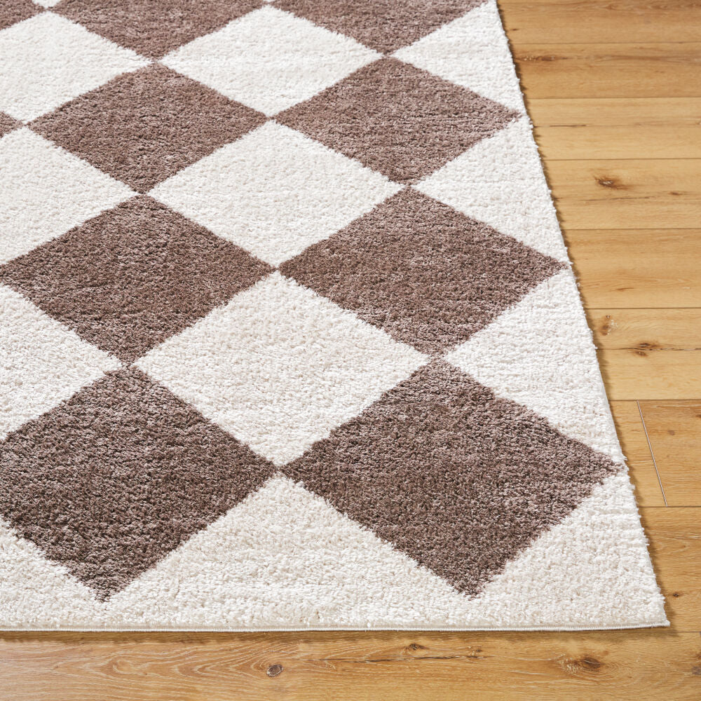 Fossay Shag Dark Brown/Light Beige Machine Woven Rug FSG-2323 - front