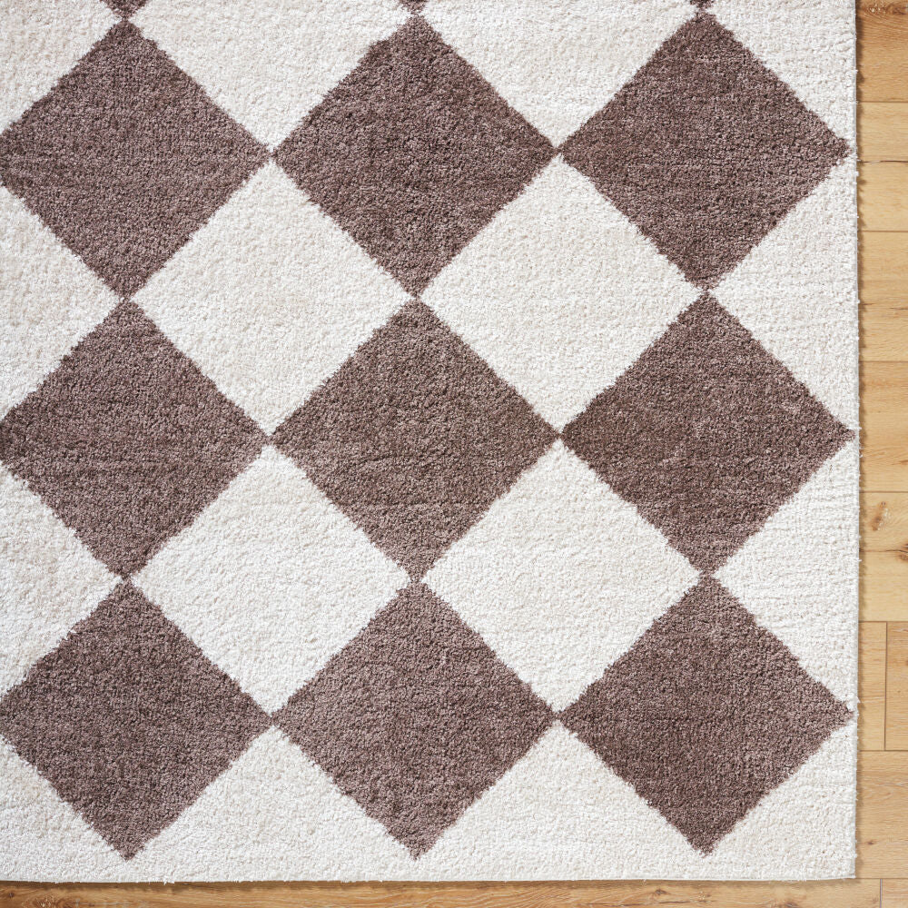 Fossay Shag Dark Brown/Light Beige Machine Woven Rug FSG-2323 - overhead