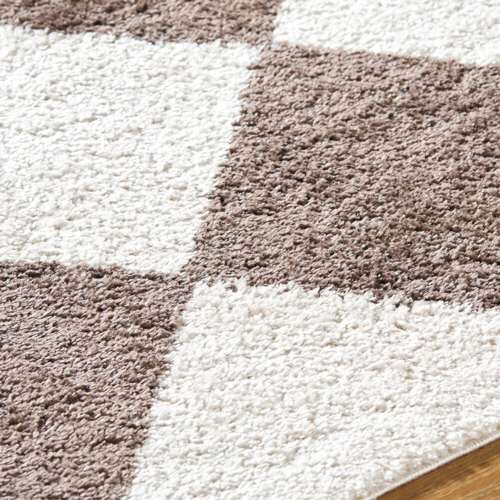Fossay Shag Dark Brown/Light Beige Machine Woven Rug FSG-2323 - texture