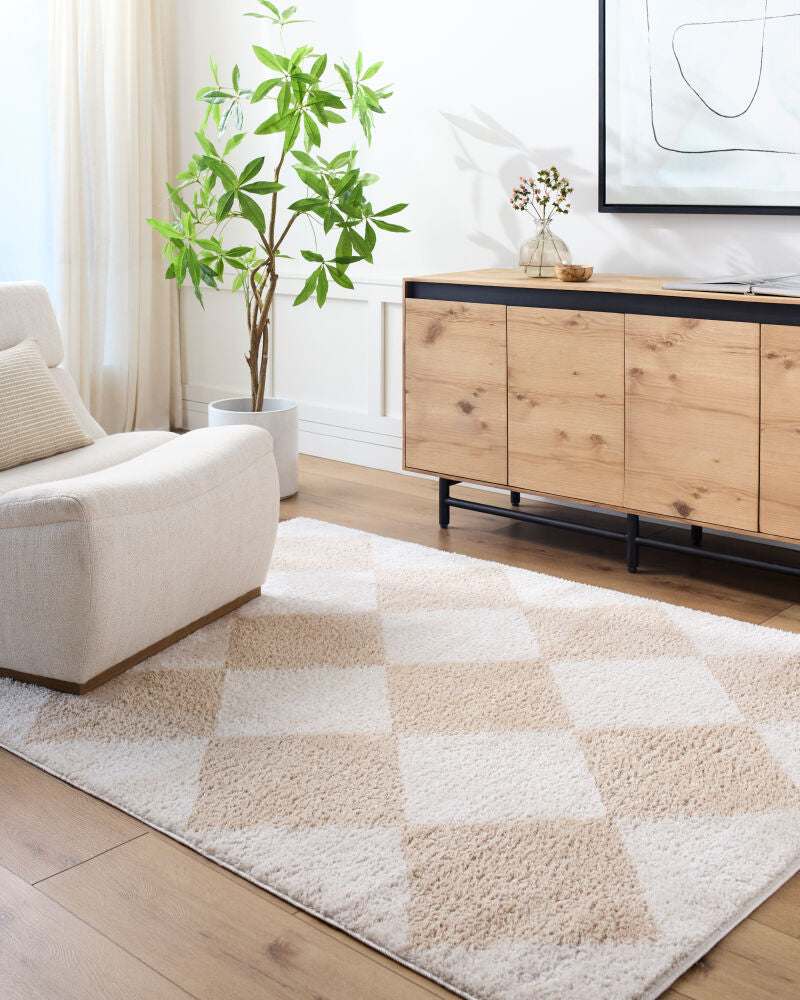 Fossay Shag Beige/Light Beige Machine Woven Rug FSG-2324 - roomscene