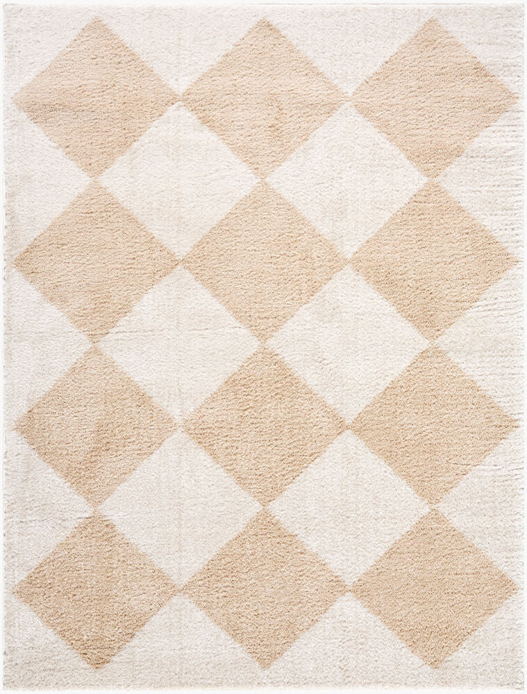 Fossay Shag Beige/Light Beige Machine Woven Rug FSG-2324 - 2' x 2'11"