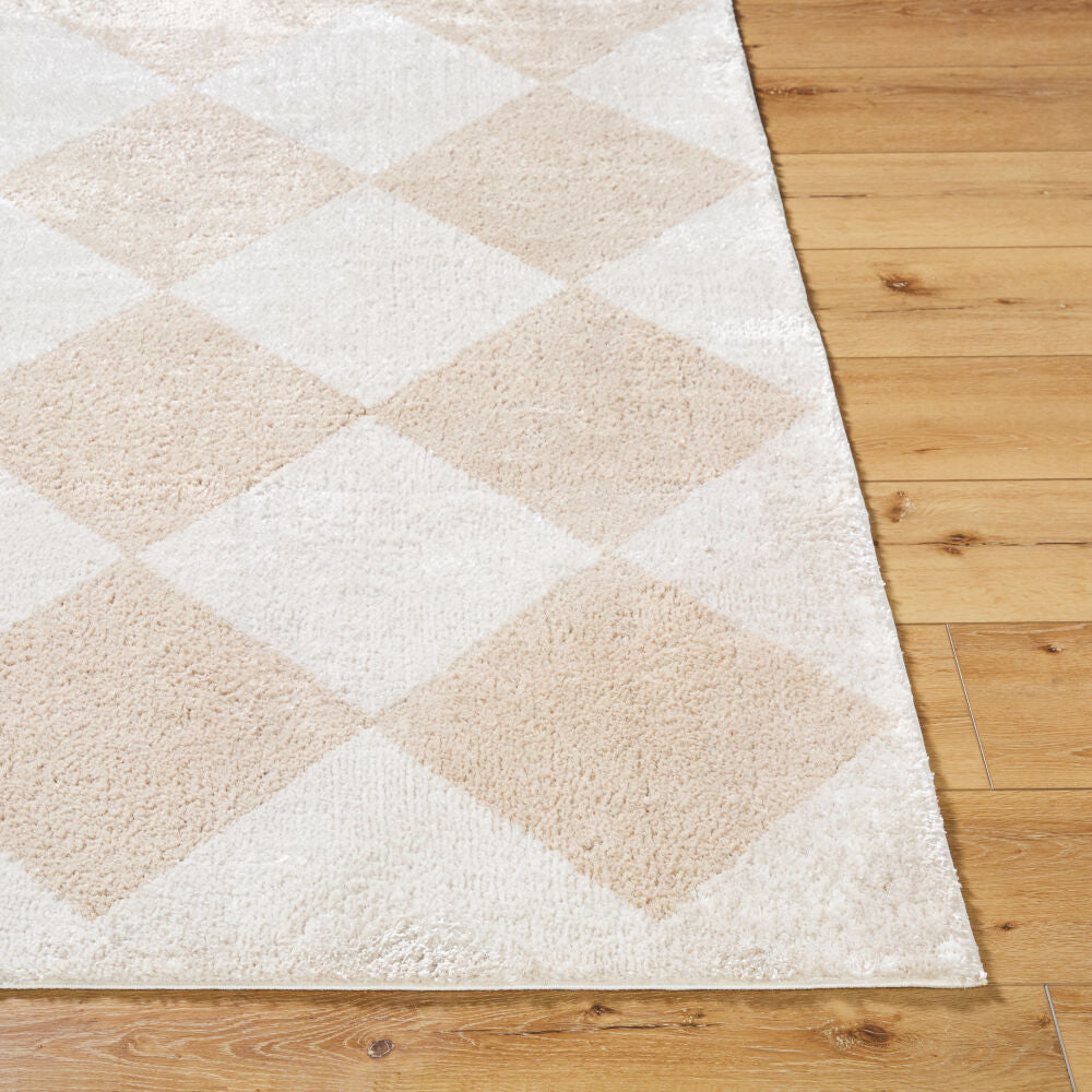 Fossay Shag Beige/Light Beige Machine Woven Rug FSG-2324 - front