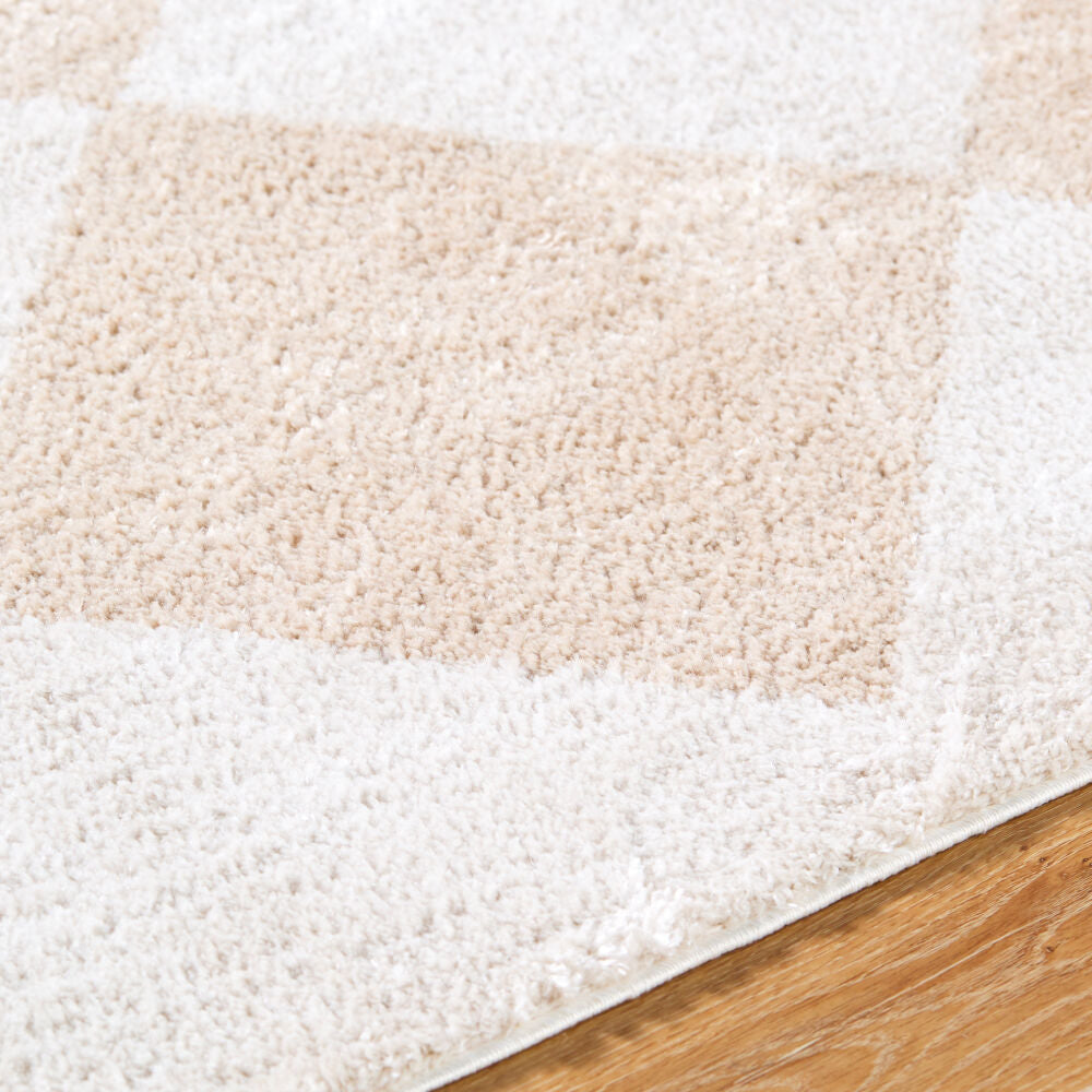 Fossay Shag Beige/Light Beige Machine Woven Rug FSG-2324 - texture