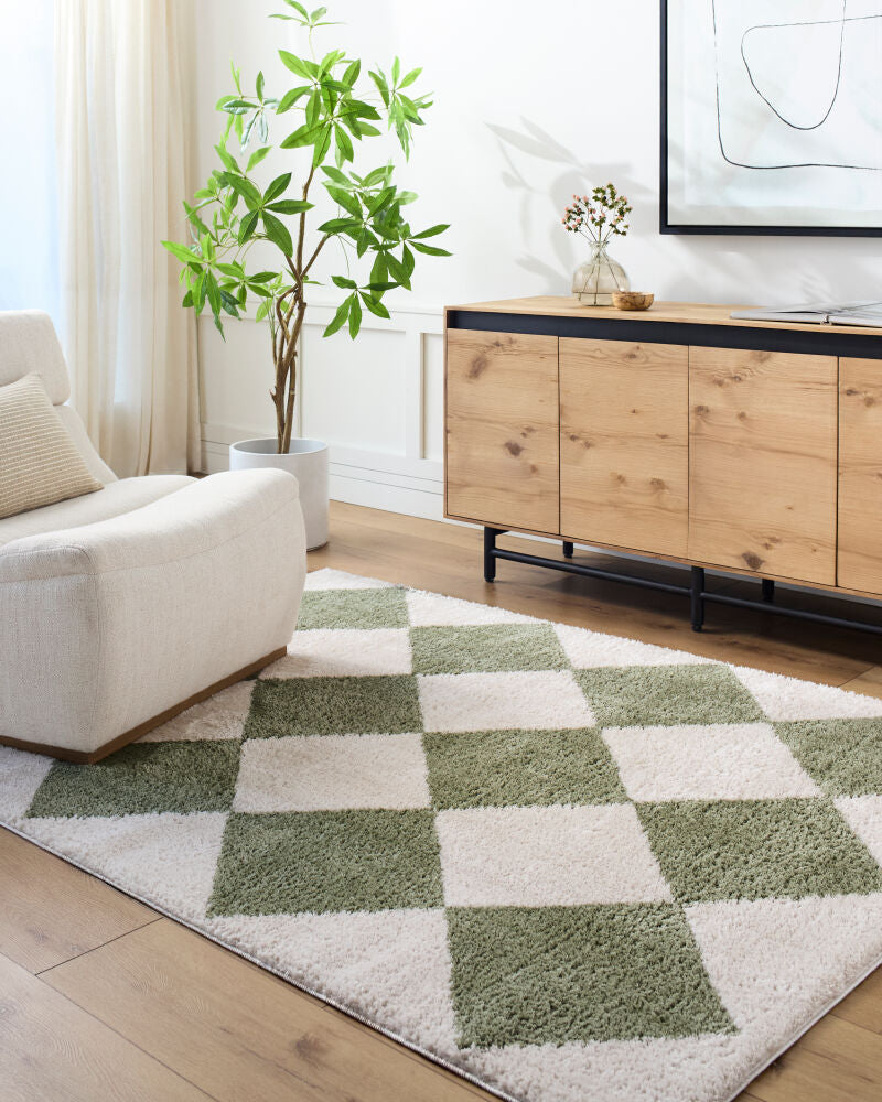 Fossay Shag Grass Green/Light Beige Machine Woven Rug FSG-2325 - roomscene
