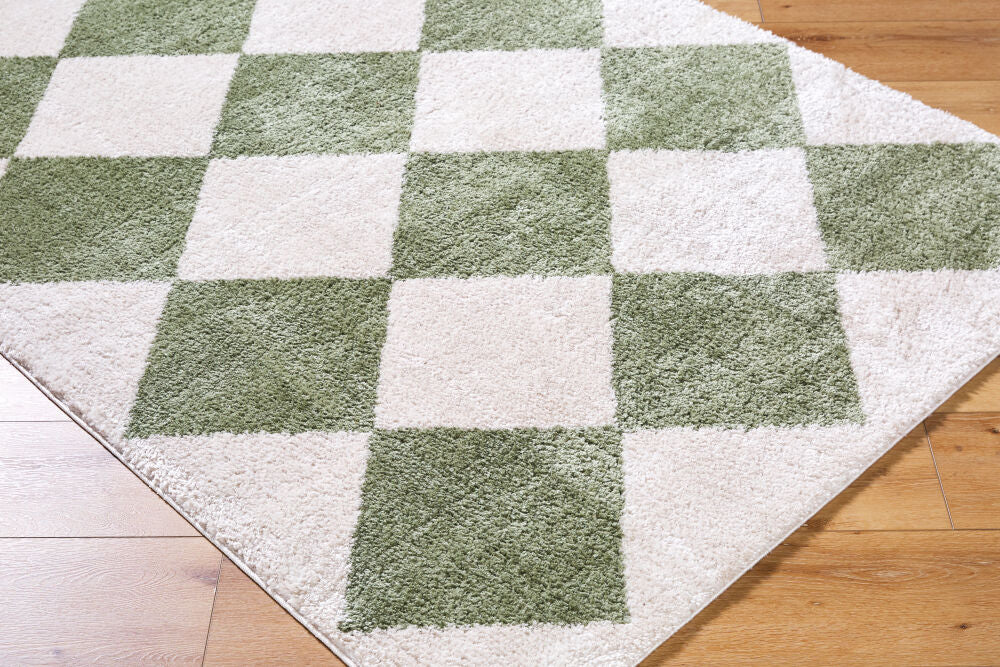Fossay Shag Grass Green/Light Beige Machine Woven Rug FSG-2325 - corner