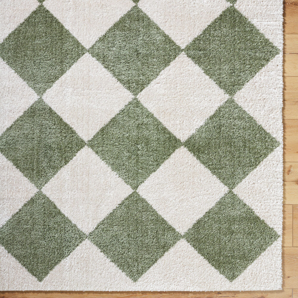 Fossay Shag Grass Green/Light Beige Machine Woven Rug FSG-2325 - overhead