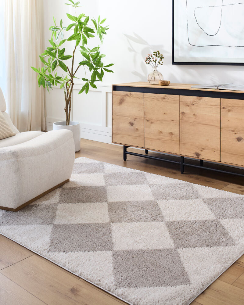 Fossay Shag Light Beige/Medium Gray Machine Woven Rug FSG-2327 - roomscene