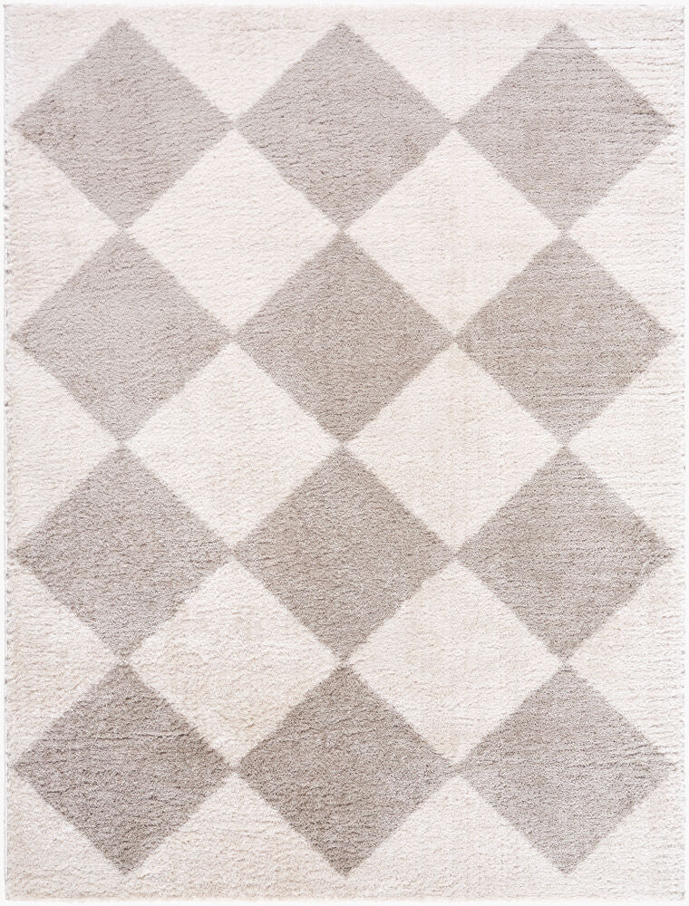 Fossay Shag Light Beige/Medium Gray Machine Woven Rug FSG-2327 - 2' x 2'11"