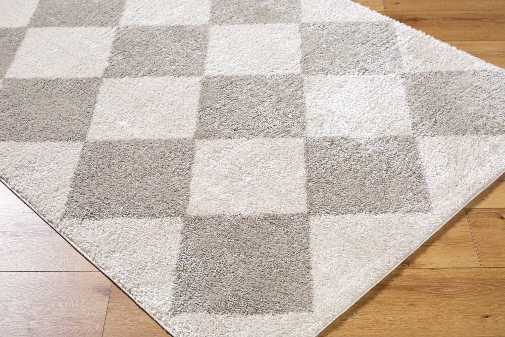 Fossay Shag Light Beige/Medium Gray Machine Woven Rug FSG-2327 - corner