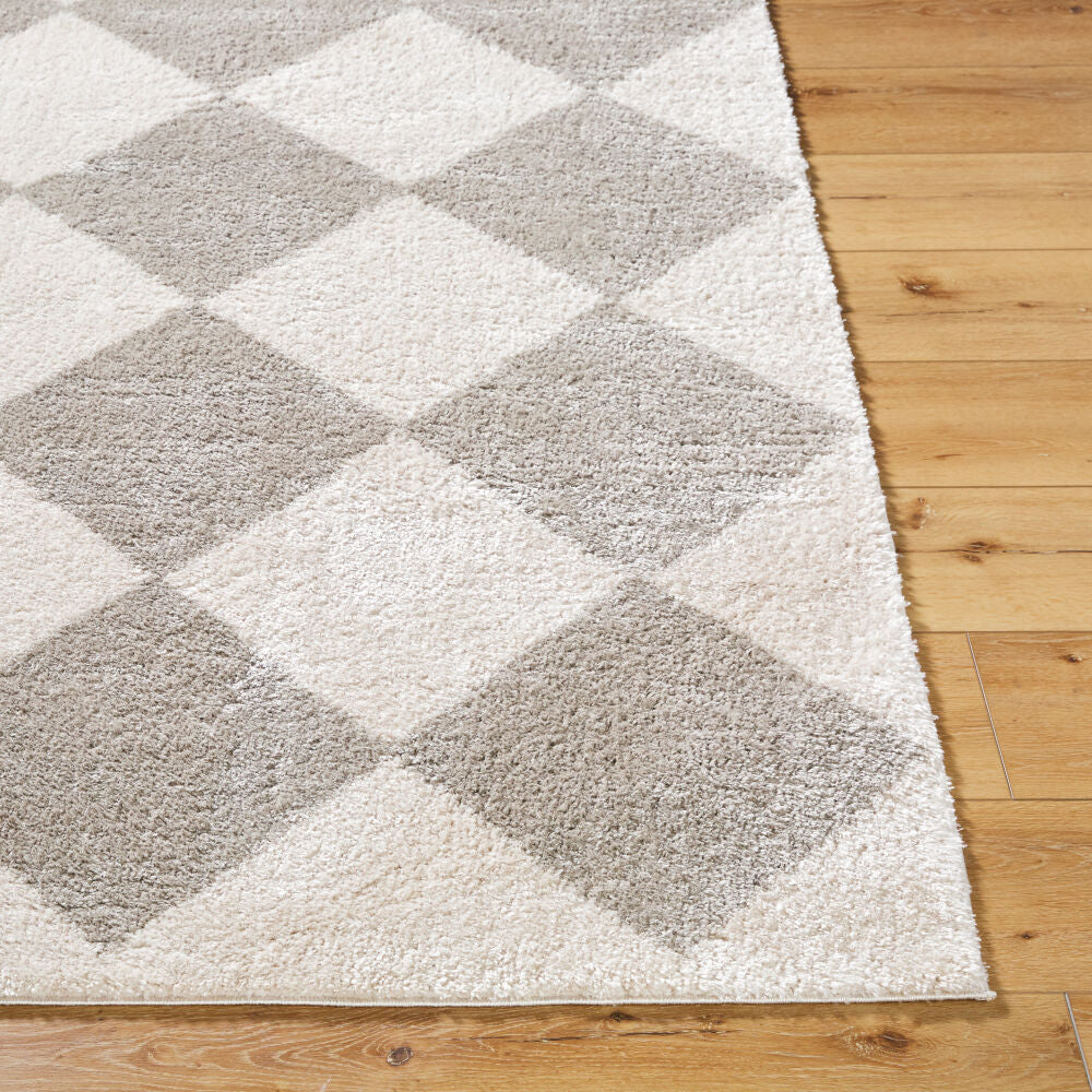 Fossay Shag Light Beige/Medium Gray Machine Woven Rug FSG-2327 - front