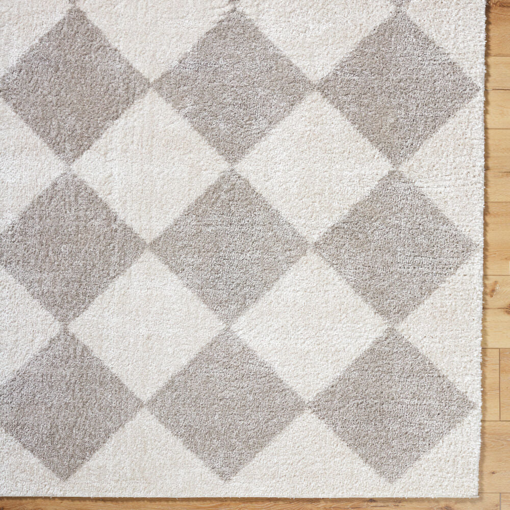 Fossay Shag Light Beige/Medium Gray Machine Woven Rug FSG-2327 - overhead