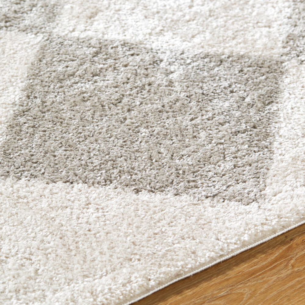 Fossay Shag Light Beige/Medium Gray Machine Woven Rug FSG-2327 - texture