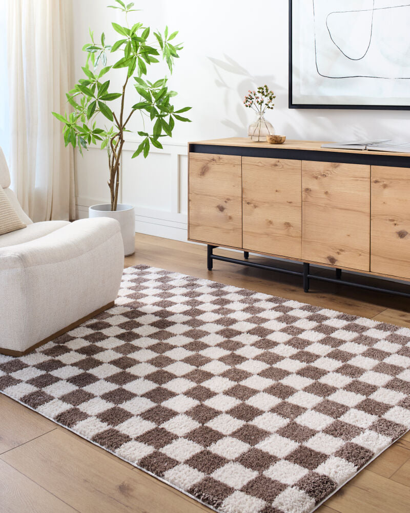 Fossay Shag Dark Brown/Light Beige Machine Woven Rug FSG-2328 - roomscene