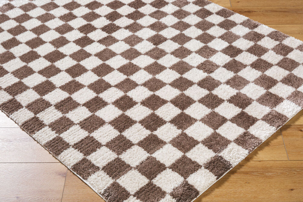 Fossay Shag Dark Brown/Light Beige Machine Woven Rug FSG-2328 - corner