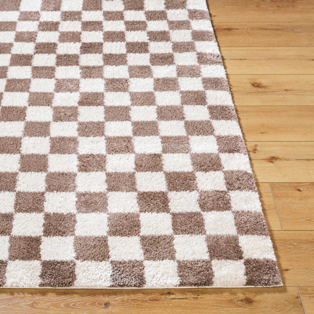 Fossay Shag Dark Brown/Light Beige Machine Woven Rug FSG-2328 - front