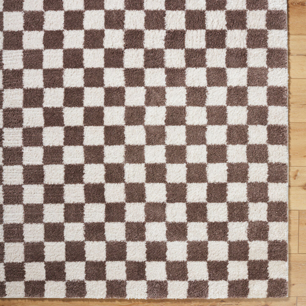 Fossay Shag Dark Brown/Light Beige Machine Woven Rug FSG-2328 - overhead