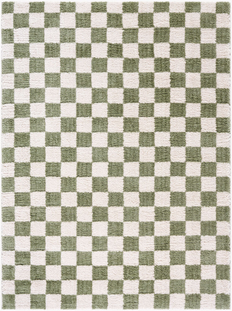 Fossay Shag Grass Green/Light Beige Machine Woven Rug FSG-2330 - 2' x 2'11"