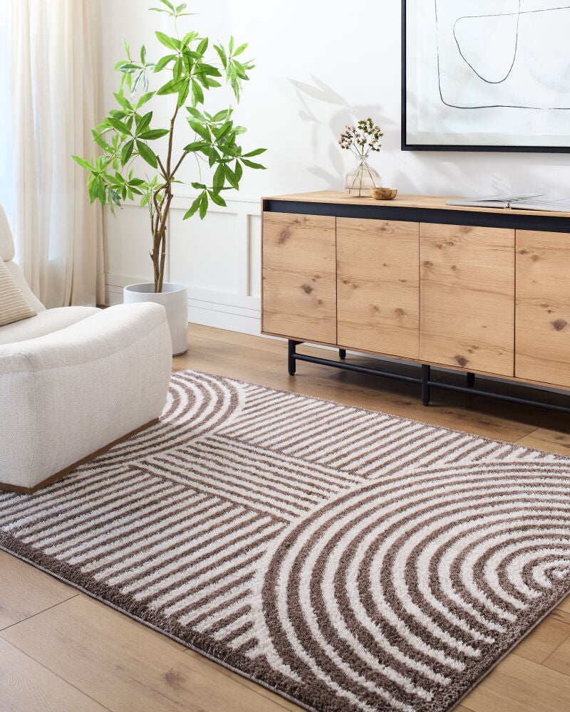 Fossay Shag Dark Brown/Light Beige Machine Woven Rug FSG-2331 - roomscene