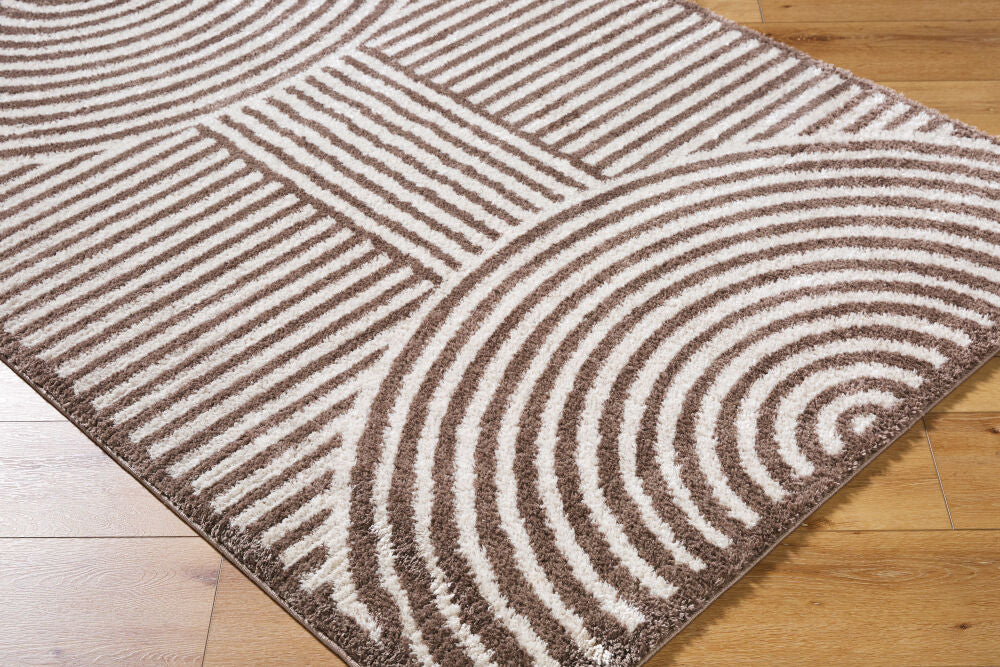 Fossay Shag Dark Brown/Light Beige Machine Woven Rug FSG-2331 - corner