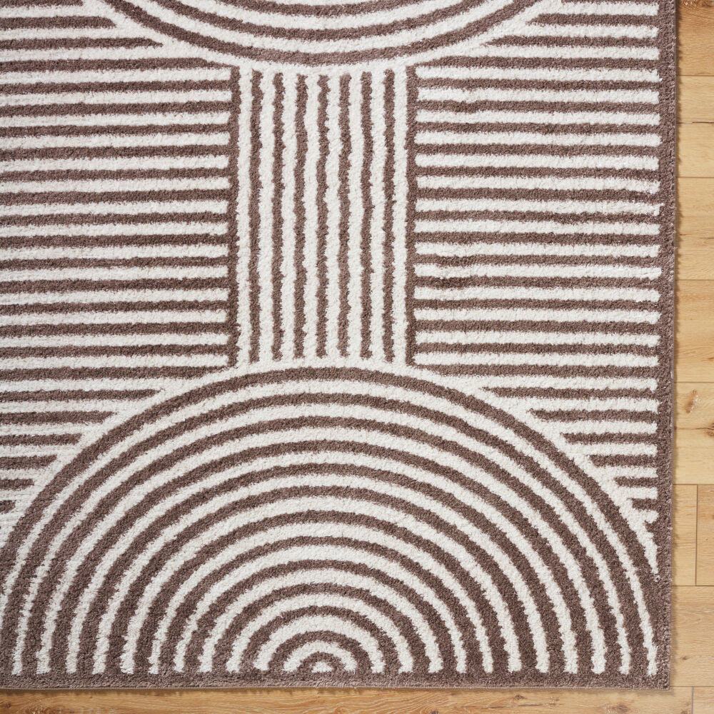Fossay Shag Dark Brown/Light Beige Machine Woven Rug FSG-2331 - overhead