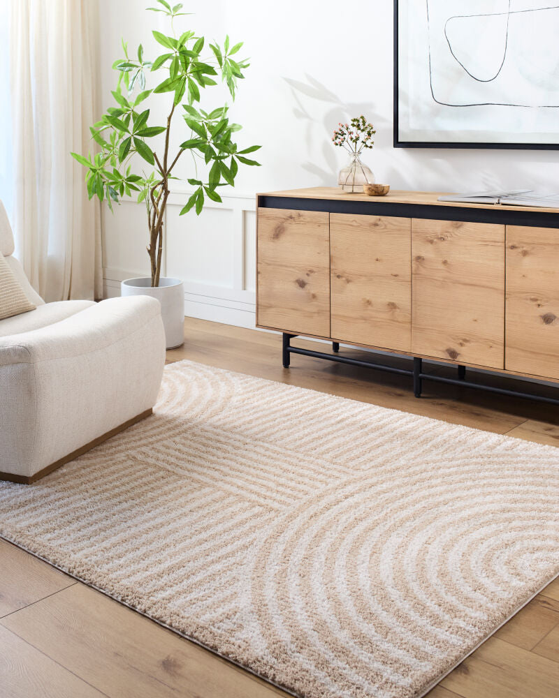 Fossay Shag Beige/Light Beige Machine Woven Rug FSG-2332 - roomscene