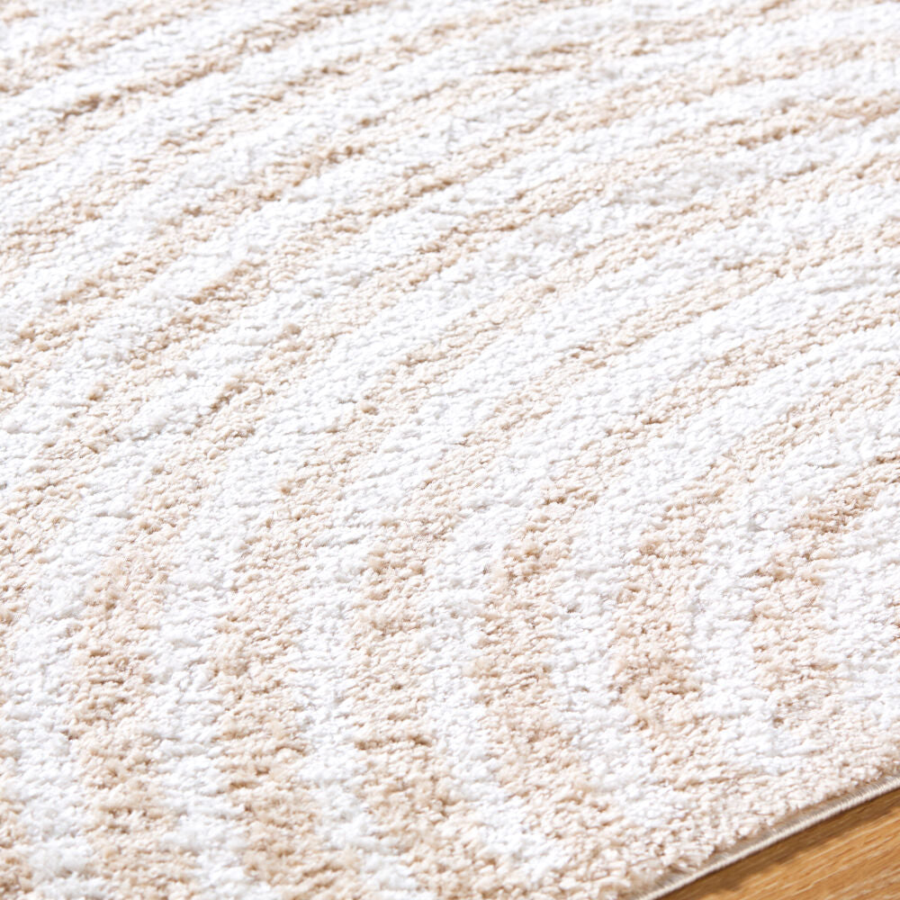 Fossay Shag Beige/Light Beige Machine Woven Rug FSG-2332 - texture