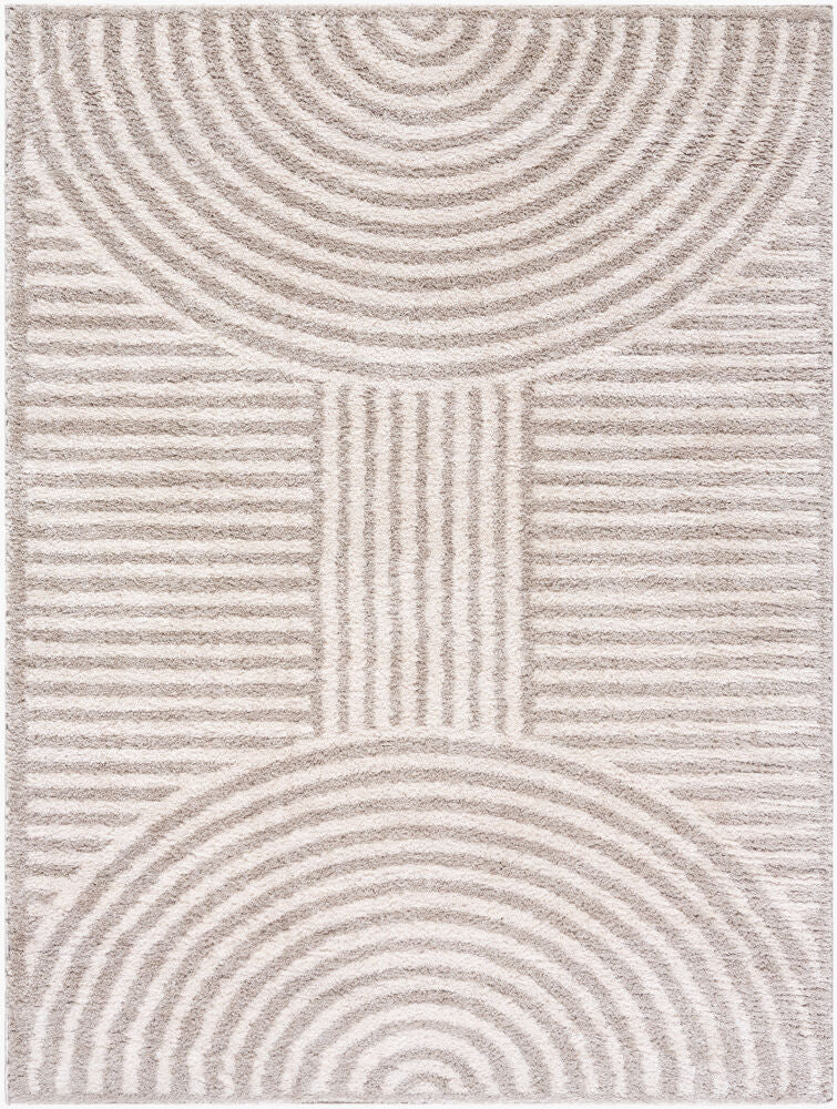 Fossay Shag Light Beige/Medium Gray Machine Woven Rug FSG-2335 - 2' x 2'11"