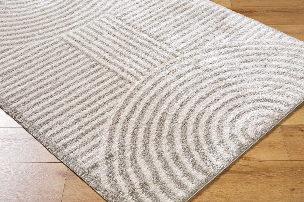 Fossay Shag Light Beige/Medium Gray Machine Woven Rug FSG-2335 - corner