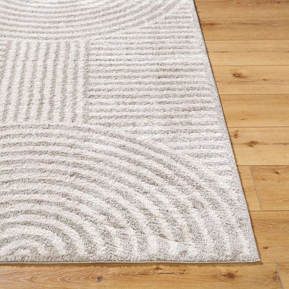 Fossay Shag Light Beige/Medium Gray Machine Woven Rug FSG-2335 - front