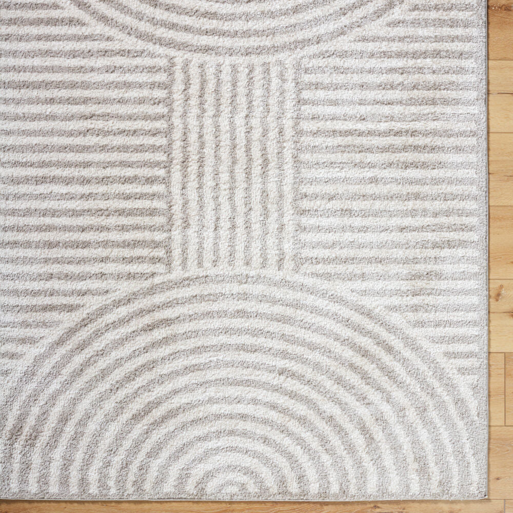 Fossay Shag Light Beige/Medium Gray Machine Woven Rug FSG-2335 - overhead