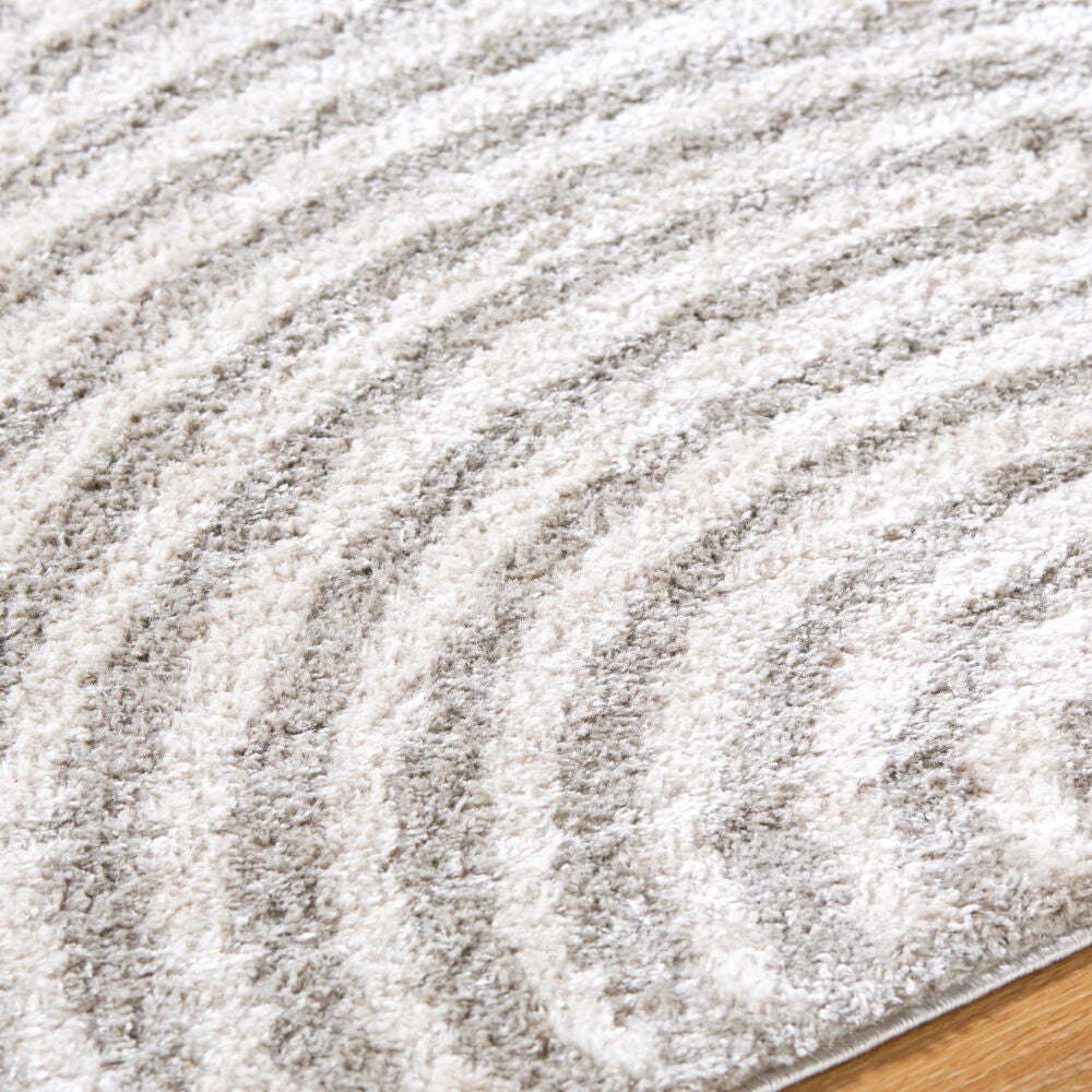 Fossay Shag Light Beige/Medium Gray Machine Woven Rug FSG-2335 - texture