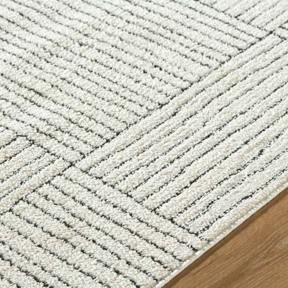 Architect Black/Ivory Machine Woven Rug GAAR-2300 - texture