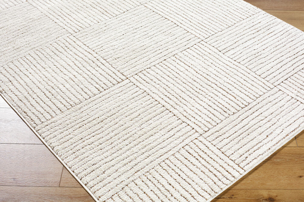 Architect Dark Brown/Ivory Machine Woven Rug GAAR-2301 - corner