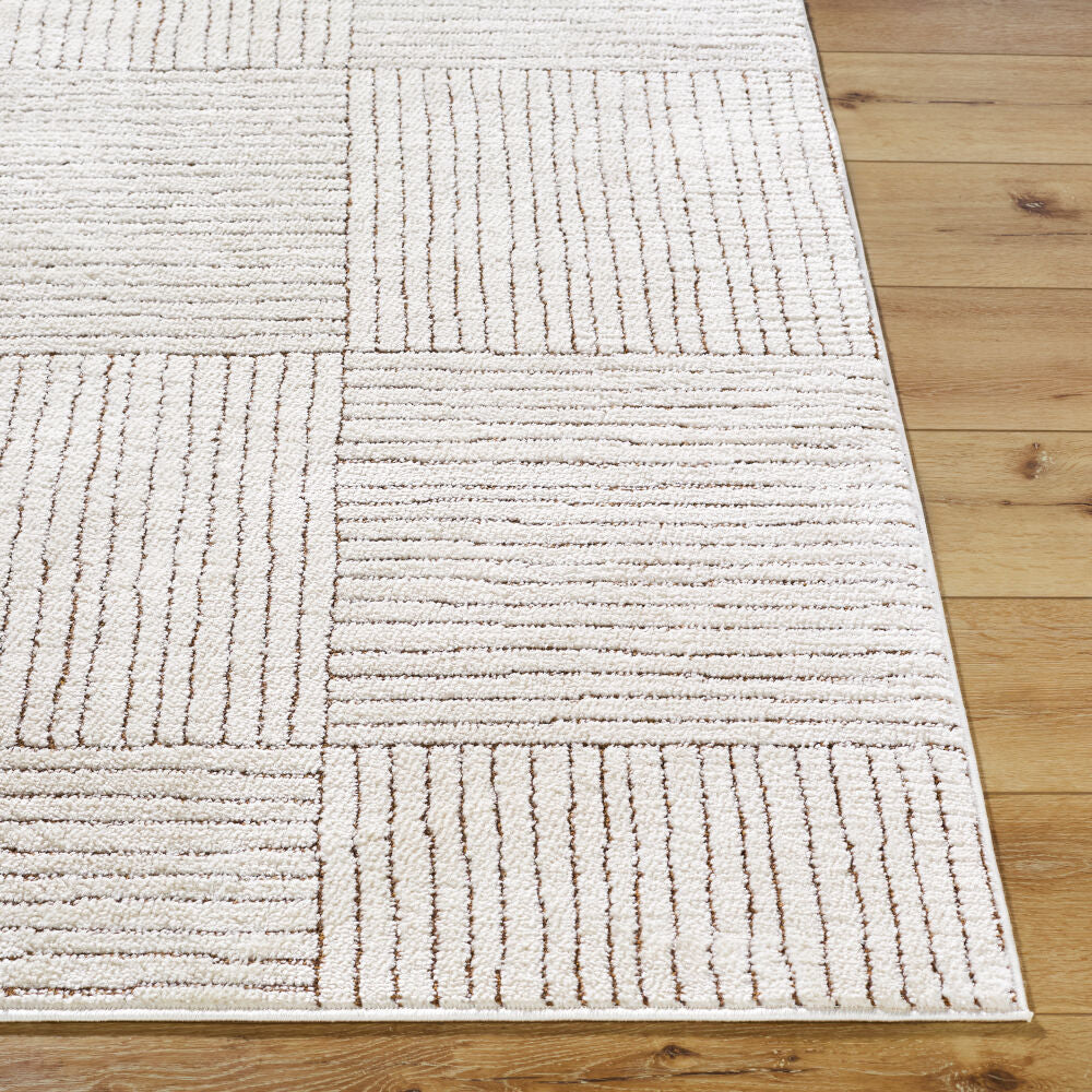 Architect Dark Brown/Ivory Machine Woven Rug GAAR-2301 - front