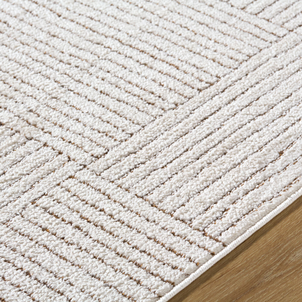 Architect Dark Brown/Ivory Machine Woven Rug GAAR-2301 - texture