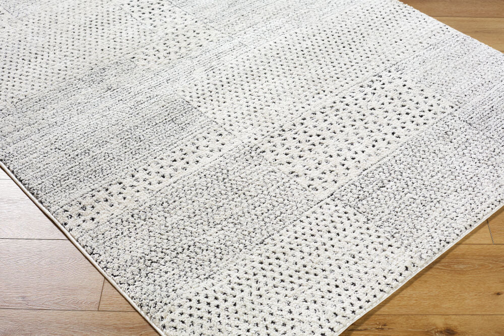Architect Black/Ivory Machine Woven Rug GAAR-2302 - corner