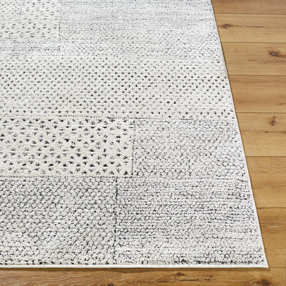 Architect Black/Ivory Machine Woven Rug GAAR-2302 - front