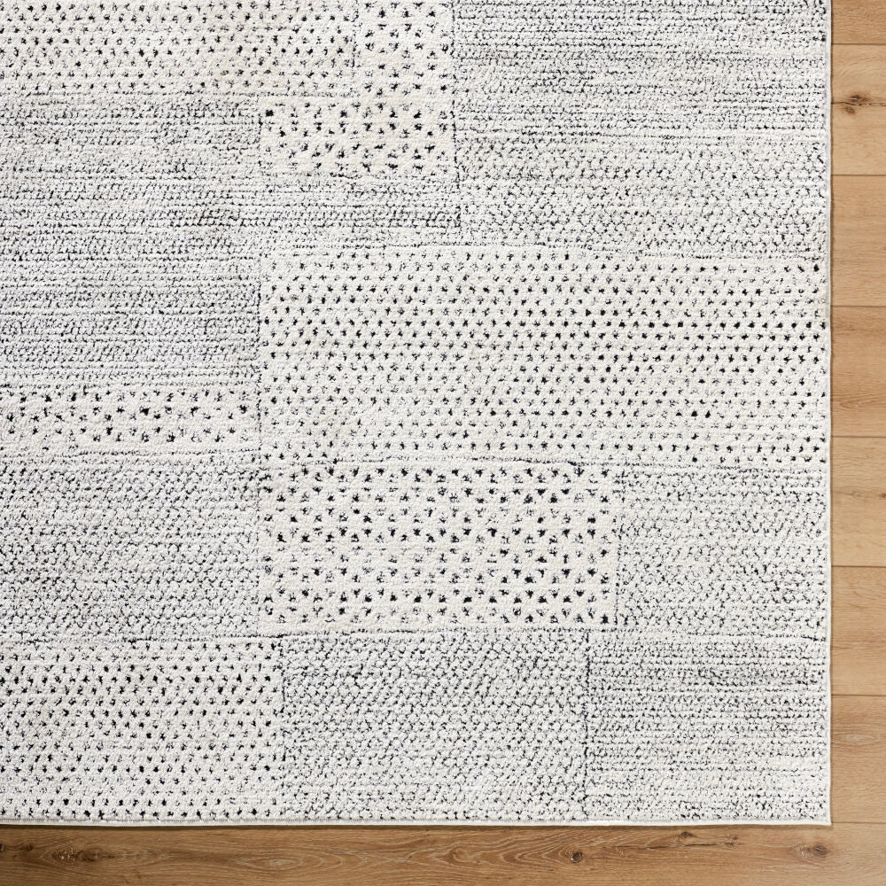 Architect Black/Ivory Machine Woven Rug GAAR-2302 - overhead